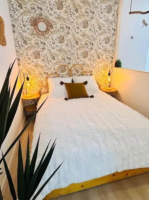 Appartement La Jolie Bulle à Vienne
